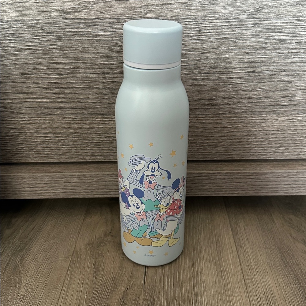 Tokyo Disney Store Mickey & Friends Stainless Steel Bottle 500ml Japan